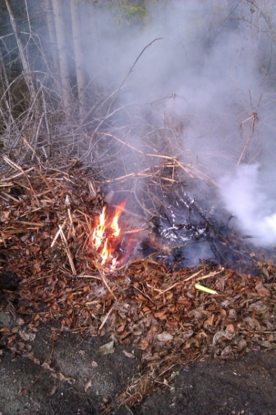 Kleiner Brand im Freien 2011_11_30 (10).JPG